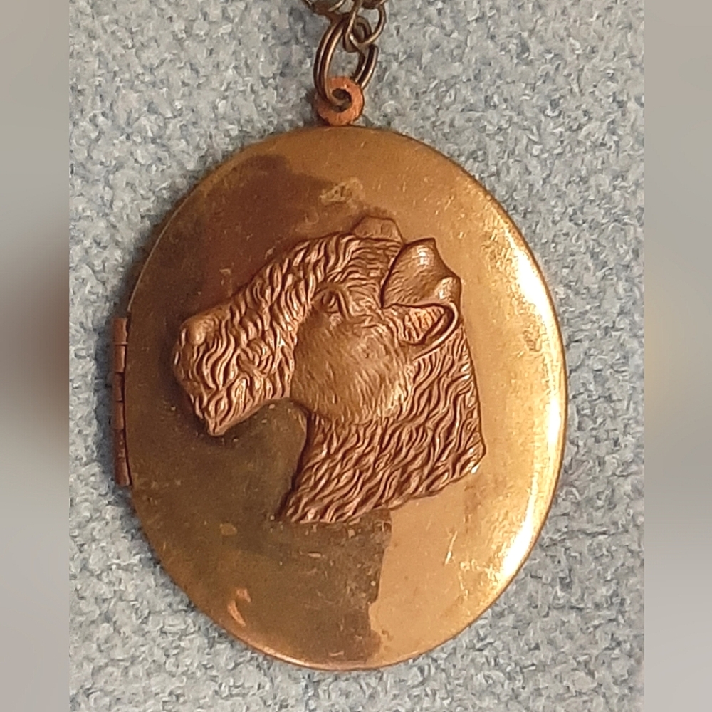 🐕Terrier, Double Picture Locket Necklace